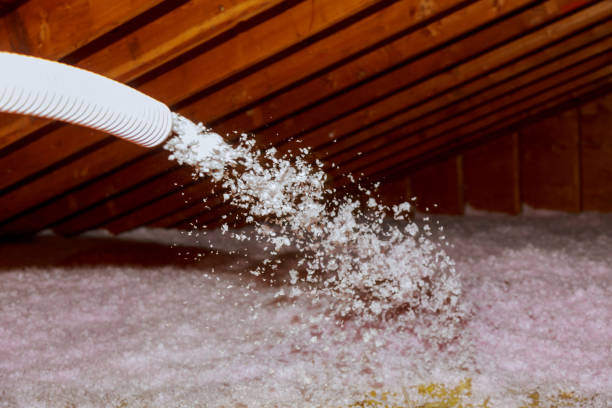 Best Insulation Installation Services in Hamburg, IA