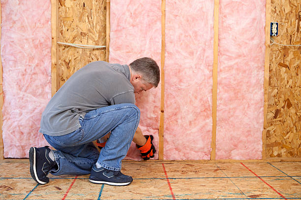 Best Types of Insulation in Hamburg, IA
